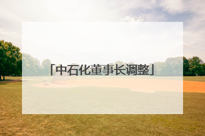 中石化董事长调整