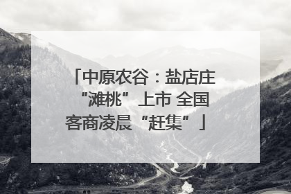 中原农谷：盐店庄“滩桃”上市 全国客商凌晨“赶集”