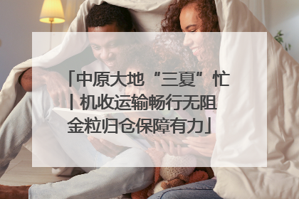 中原大地“三夏”忙丨机收运输畅行无阻 金粒归仓保障有力