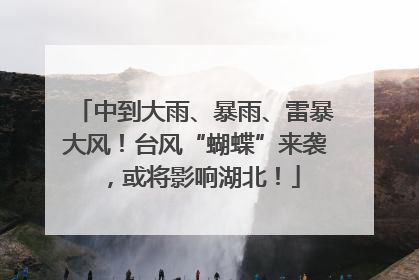 中到大雨、暴雨、雷暴大风！台风“蝴蝶”来袭，或将影响湖北！