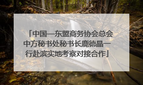 中国—东盟商务协会总会中方秘书处秘书长鹿德晶一行赴滨实地考察对接合作