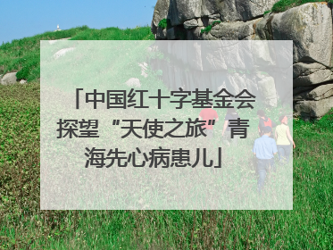 中国红十字基金会探望“天使之旅”青海先心病患儿