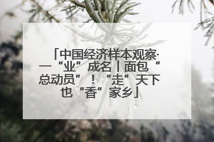 中国经济样本观察·一“业”成名丨面包“总动员”！“走”天下也“香”家乡