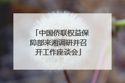 中国侨联权益保障部来湘调研并召开工作座谈会