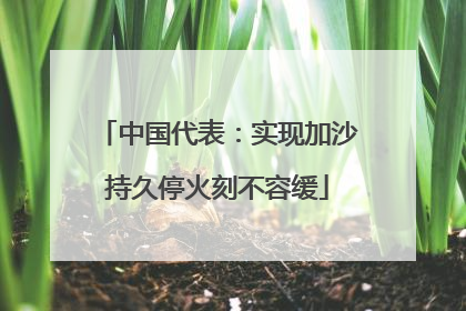 中国代表:实现加沙持久停火刻不容缓