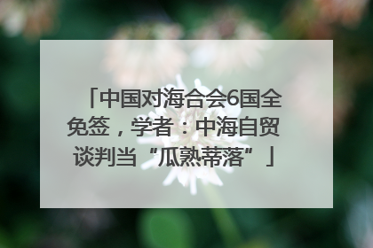 中国对海合会6国全免签，学者：中海自贸谈判当“瓜熟蒂落”