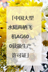 中国大型水陆两栖飞机AG600获颁生产许可证