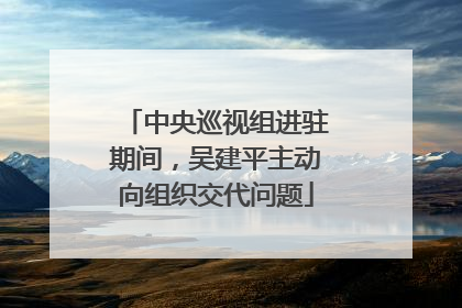 中央巡视组进驻期间，吴建平主动向组织交代问题