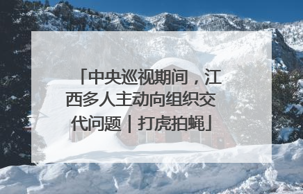 中央巡视期间，江西多人主动向组织交代问题｜打虎拍蝇