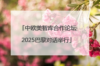 中欧美智库合作论坛·2025巴黎对话举行