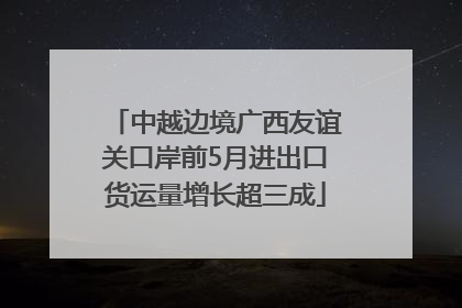 中越边境广西友谊关口岸前5月进出口货运量增长超三成