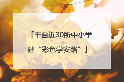 丰台近30所中小学建“彩色学安路”