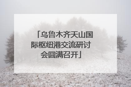 乌鲁木齐天山国际枢纽港交流研讨会圆满召开