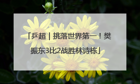 乒超｜挑落世界第一！樊振东3比2战胜林诗栋
