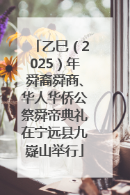 乙巳（2025）年舜裔舜商、华人华侨公祭舜帝典礼在宁远县九嶷山举行