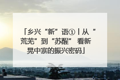 乡兴“新”语①丨从“荒芜”到“苏醒” 看新晃中寨的振兴密码