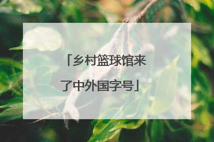 乡村篮球馆来了中外国字号