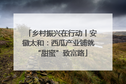 乡村振兴在行动丨安徽太和：西瓜产业铺就“甜蜜”致富路