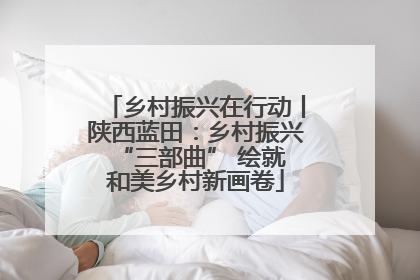乡村振兴在行动丨陕西蓝田：乡村振兴 “三部曲” 绘就和美乡村新画卷
