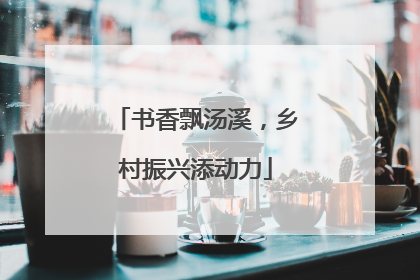 书香飘汤溪，乡村振兴添动力