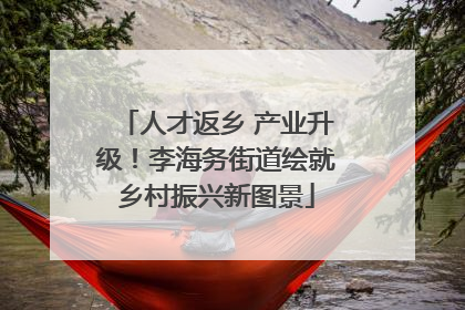 人才返乡 产业升级！李海务街道绘就乡村振兴新图景