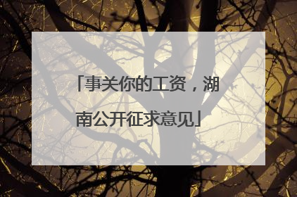 事关你的工资，湖南公开征求意见