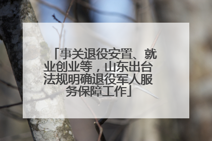 事关退役安置、就业创业等，山东出台法规明确退役军人服务保障工作