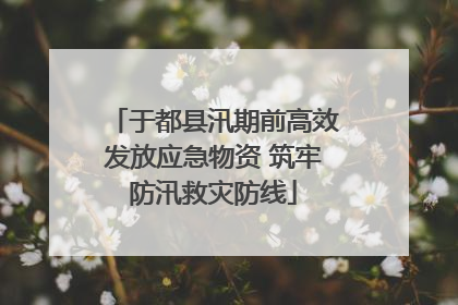 于都县汛期前高效发放应急物资 筑牢防汛救灾防线