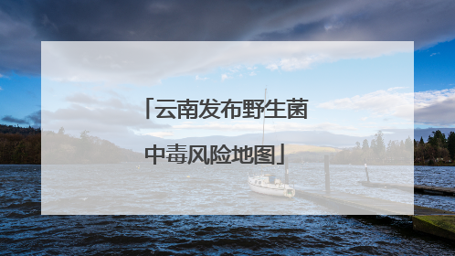 云南发布野生菌中毒风险地图