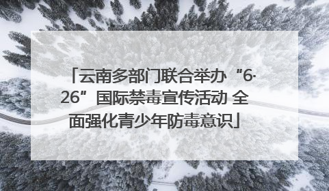 云南多部门联合举办“6·26”国际禁毒宣传活动 全面强化青少年防毒意识