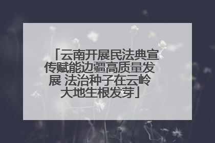 云南开展民法典宣传赋能边疆高质量发展 法治种子在云岭大地生根发芽