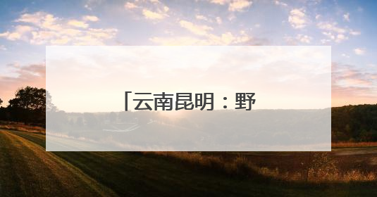 云南昆明：野生菌大量上市