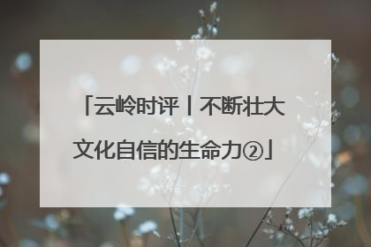 云岭时评丨不断壮大文化自信的生命力②