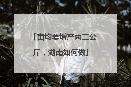 亩均要增产两三公斤，湖南如何做