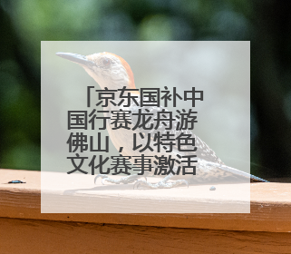 京东国补中国行赛龙舟游佛山，以特色文化赛事激活区域消费新动能