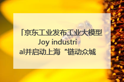 京东工业发布工业大模型Joy industrial并启动上海“链动众城 万亿降本”计划