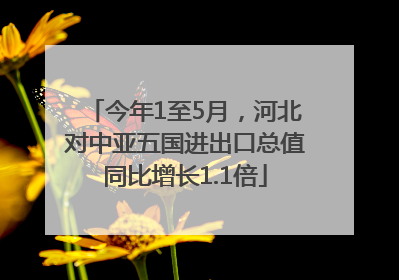 今年1至5月，河北对中亚五国进出口总值同比增长1.1倍