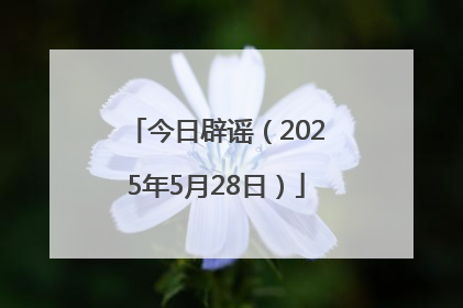 今日辟谣（2025年5月28日）