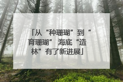 从“种珊瑚”到“育珊瑚” 海底“造林”有了新进展
