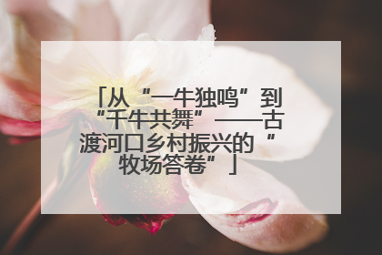 从“一牛独鸣”到“千牛共舞”——古渡河口乡村振兴的“牧场答卷”