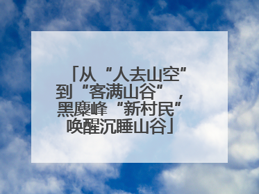 从“人去山空”到“客满山谷”，黑麋峰“新村民”唤醒沉睡山谷