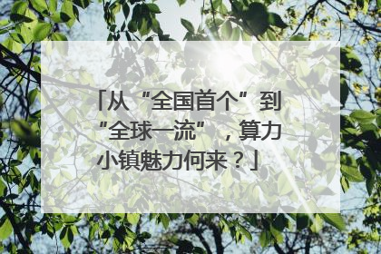 从“全国首个”到“全球一流”，算力小镇魅力何来？