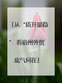 从“质升量稳” 看宿州外贸底气何在