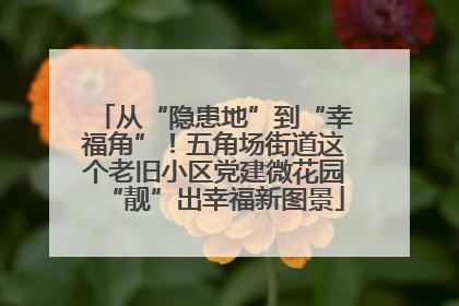 从“隐患地”到“幸福角”！五角场街道这个老旧小区党建微花园“靓”出幸福新图景