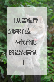 从青梅香到海洋蓝——两代台胞的诏安情缘