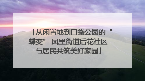 从闲置地到口袋公园的“蝶变” 凤里街道后花社区与居民共筑美好家园