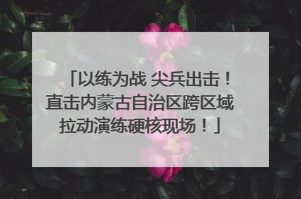 以练为战 尖兵出击！直击内蒙古自治区跨区域拉动演练硬核现场！