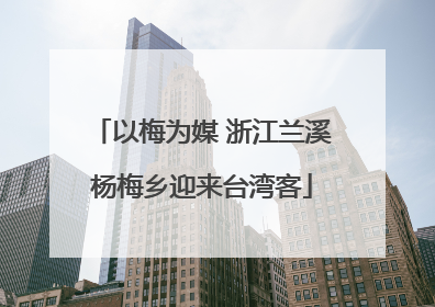 以梅为媒 浙江兰溪杨梅乡迎来台湾客