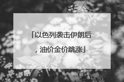 以色列袭击伊朗后，油价金价跳涨