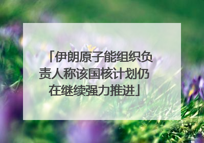 伊朗原子能组织负责人称该国核计划仍在继续强力推进